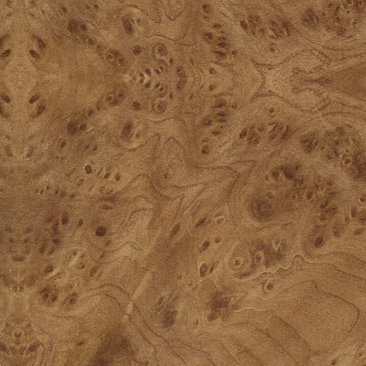 Столешница Корень вяза 38 мм.