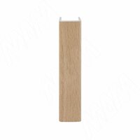 Конечный элемент (высота 100), бук