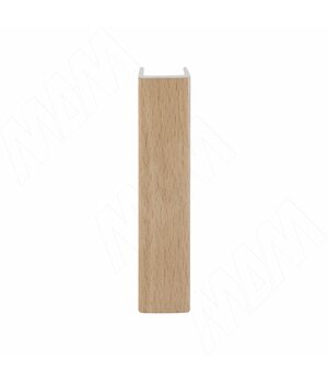 Конечный элемент (высота 100), бук