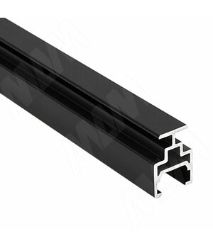 PS19 Поперечн. профиль видим., черный, L-3000