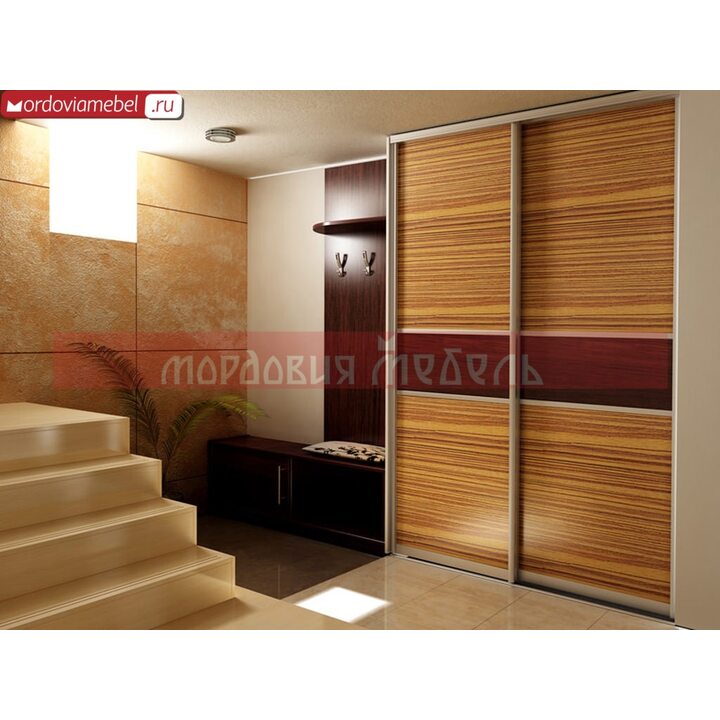 Шкаф-купе Пинге 103