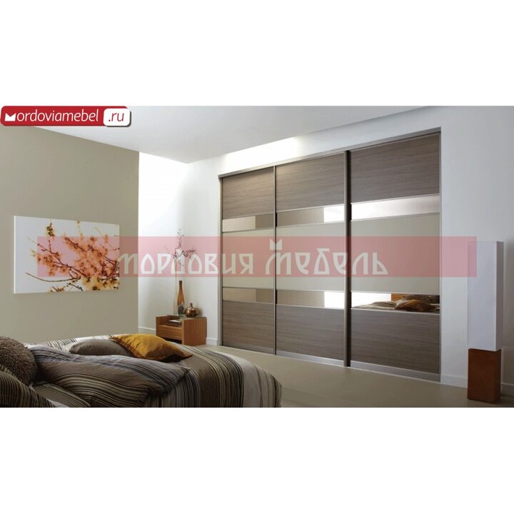 Шкаф-купе Пинге 056