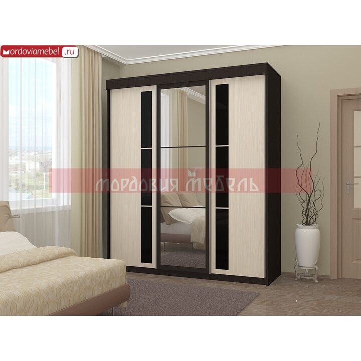 Шкаф-купе Пинге 009