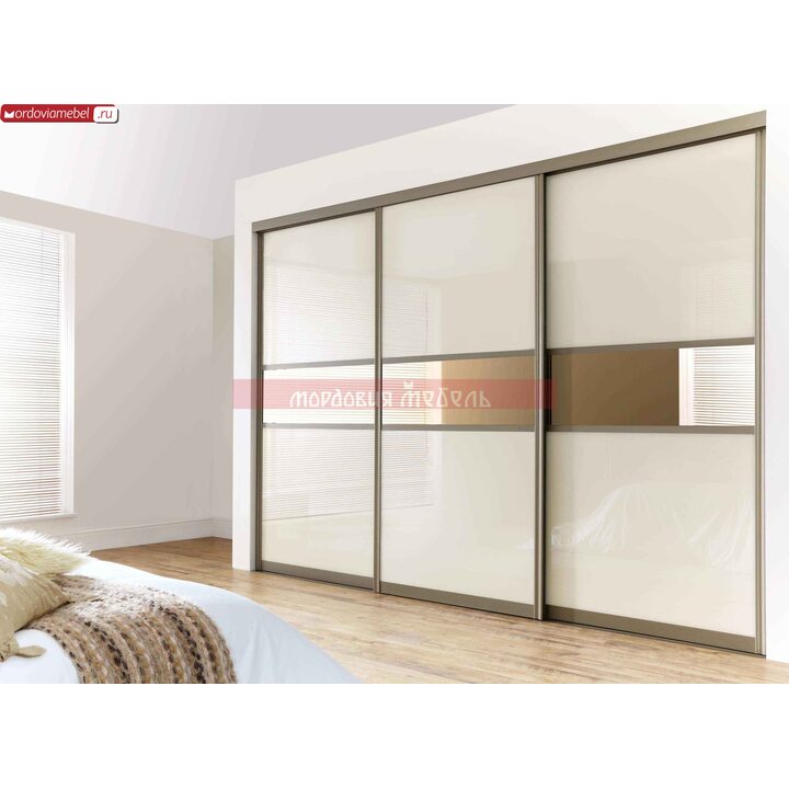 Шкаф-купе Пинге 078