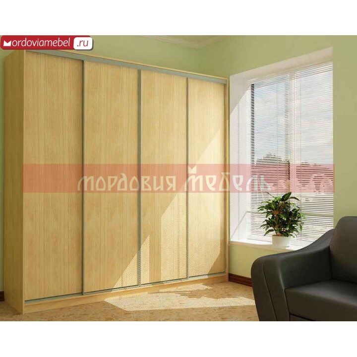 Шкаф-купе Пинге 028