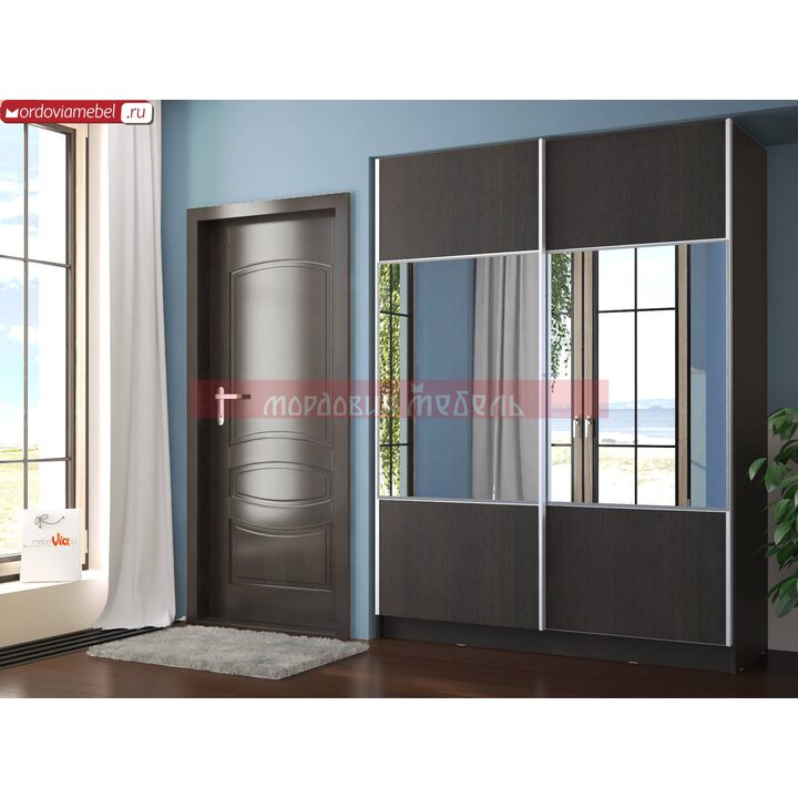 Шкаф-купе Пинге 070