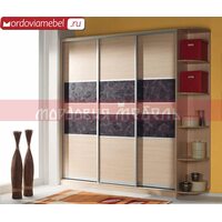 Шкаф-купе Пинге 066