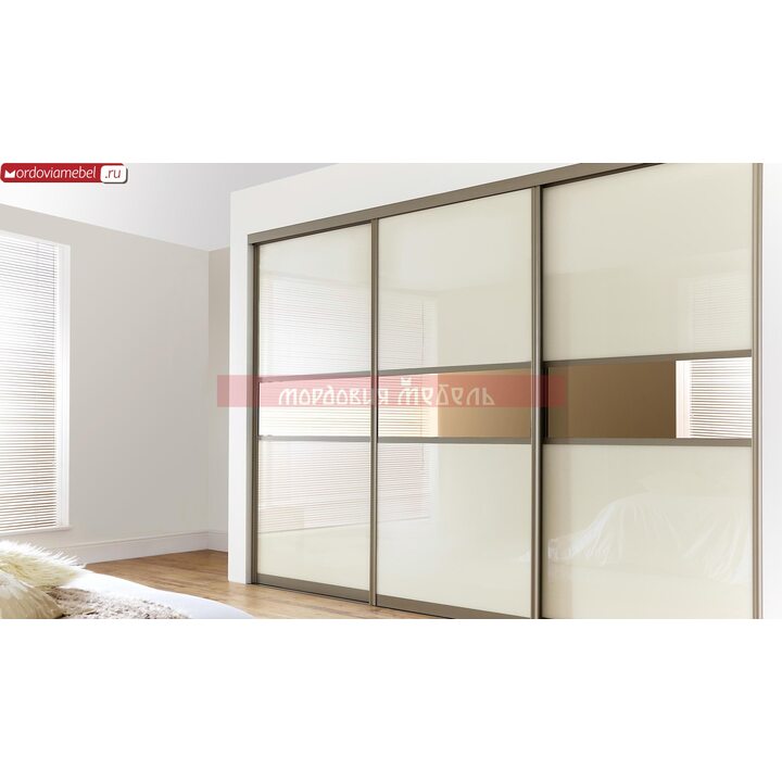 Шкаф-купе Пинге 057