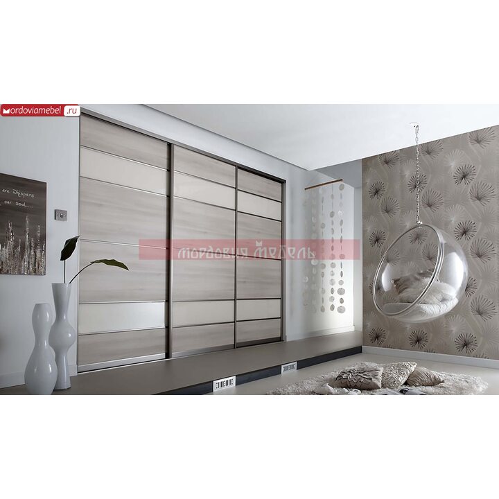 Шкаф-купе Пинге 043