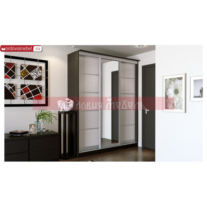 Шкаф-купе Пинге 032