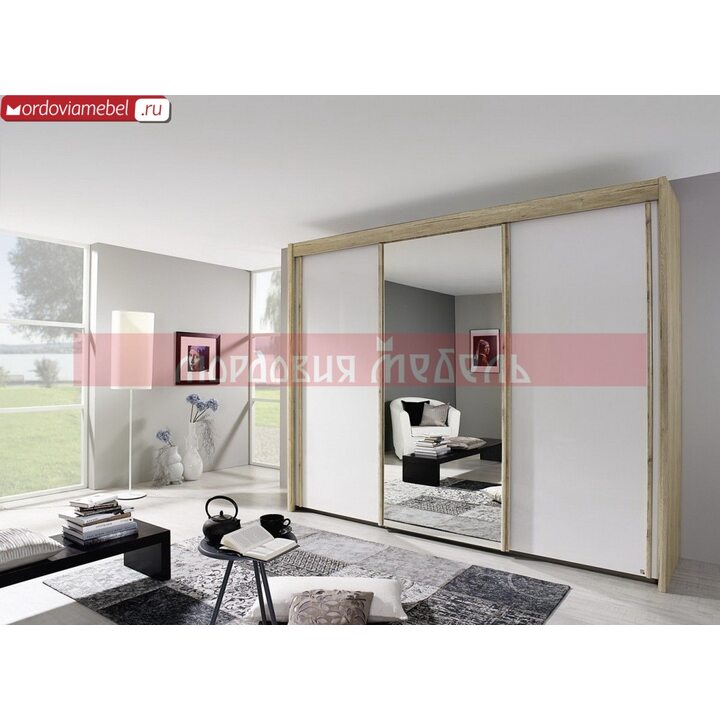 Шкаф-купе Пинге 095