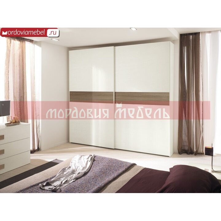 Шкаф-купе Пинге 024