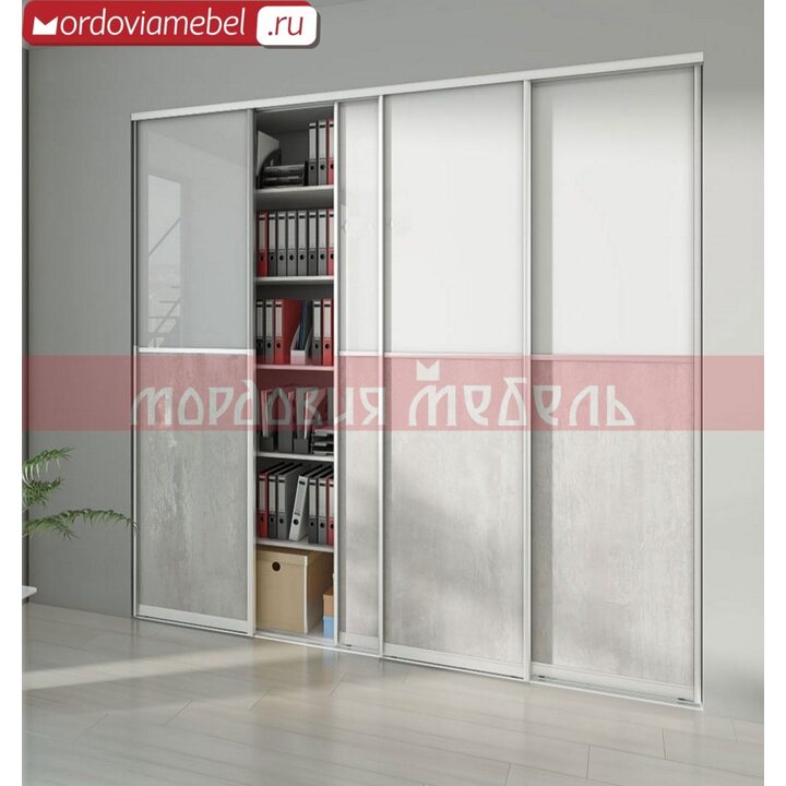 Шкаф-купе Пинге 098