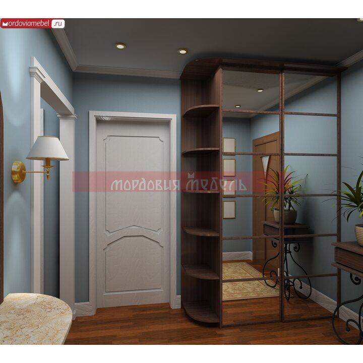 Шкаф-купе Пинге 050