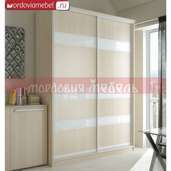 Шкаф-купе Пинге 106