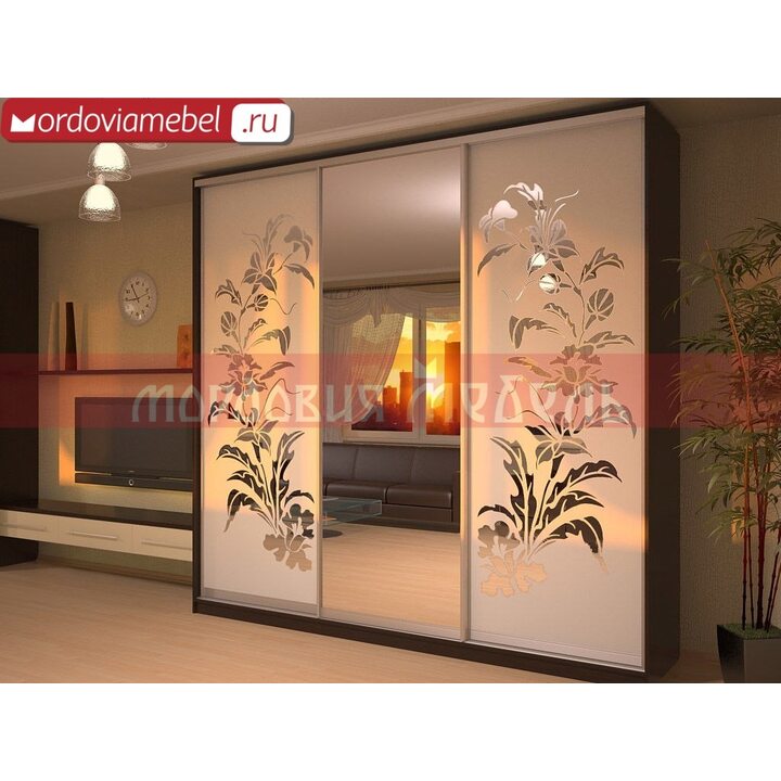 Шкаф-купе Якстере 011