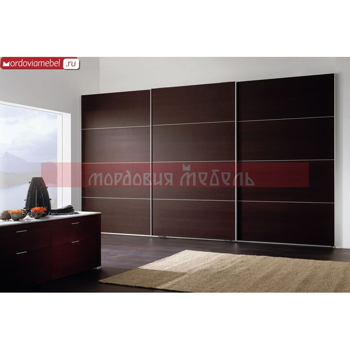 Шкаф-купе Якстере 041