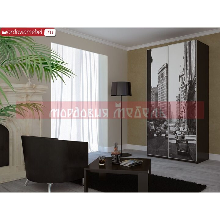 Шкаф-купе Якстере 054