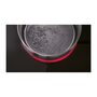Electrolux EHF96547XK + EZB52410AK 