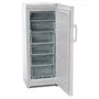 Морозильная камера Indesit DSZ 4150.1 