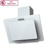 Вытяжка каминная Krona LIVA 600  PB, белый