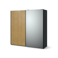 Шкаф-купе с зеркалом