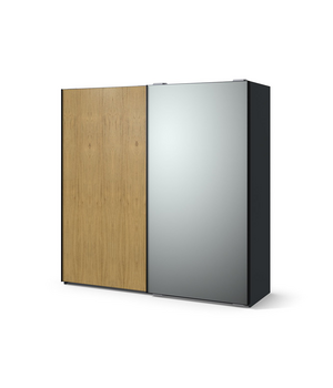 Шкаф-купе с зеркалом
