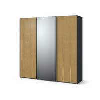 Шкаф-купе с 3 дверями