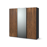 Шкаф-купе с 3 дверями