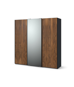 Шкаф-купе с 3 дверями