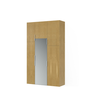 Распашной шкаф с зеркалом